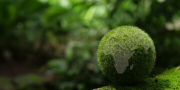 Niedersachsen 2023 dank Erneuerbarer Energien erstmals klimaneutral im Stromsektor