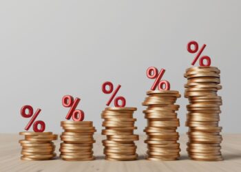 Finanzpolitik - Was ist die Finanzpolitik?