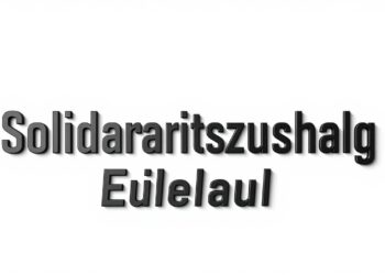 Solidaritätszuschlag Erklärung