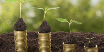 Nachhaltige Investments und ihre wirtschaftliche Bedeutung