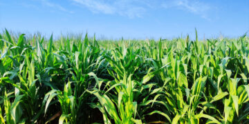 Europäisches Amtshilfe-Netzwerk stärkt Verbraucherschutz