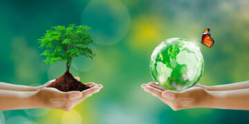 Nachhaltigkeit als erfolgreiche Unternehmensstrategie